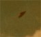 Ufo del Gennaio '79