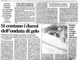 Corriere Di VT 05/01/1997