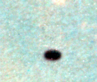 dettaglio dell' ufo